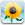 iPhoto